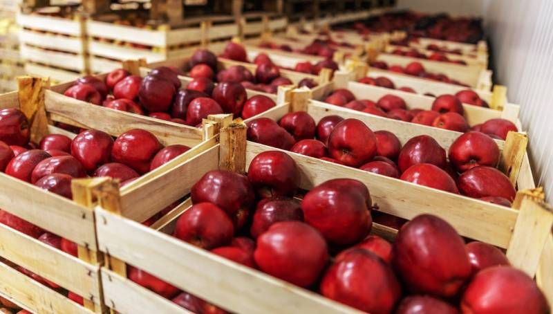 Кальцій, бор, амінокислоти — Ukravit вивів на ринок нове добриво для садових культур