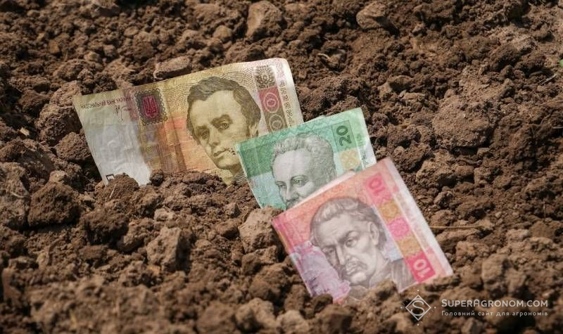 Доступність фінансування для малого фермера, середньої агрокомпанії та агрохолдингу істотно відрізняється — експерт