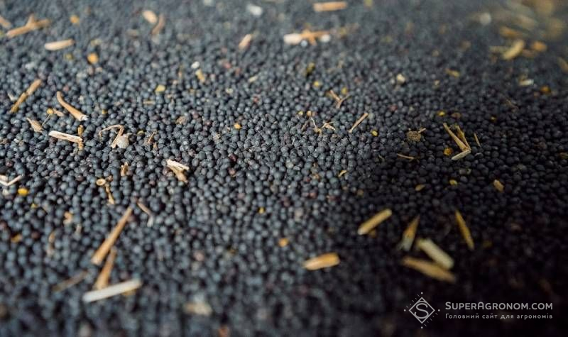 Урожай ріпаку