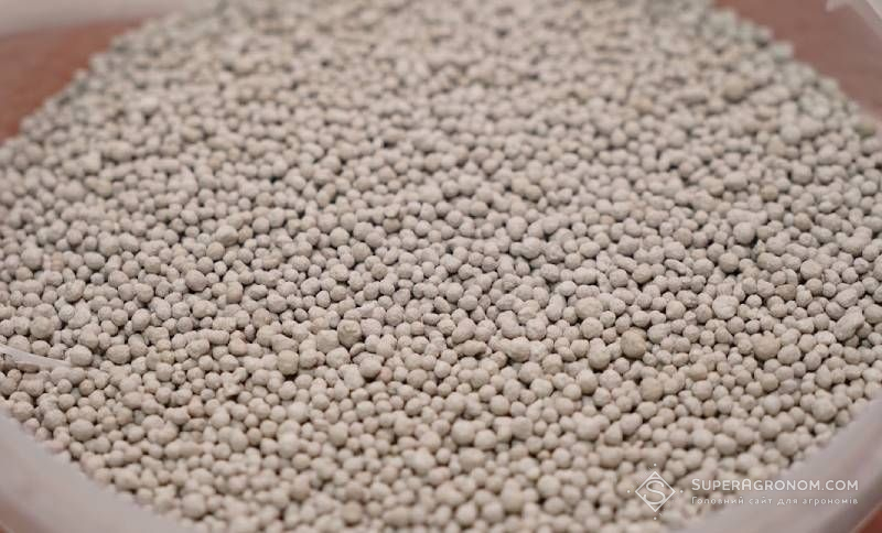 Дефіцит добрив загрожує втратою до 20% врожаю: аграрії закликають терміново відкрити імпорт вапняково-аміачної селітри
