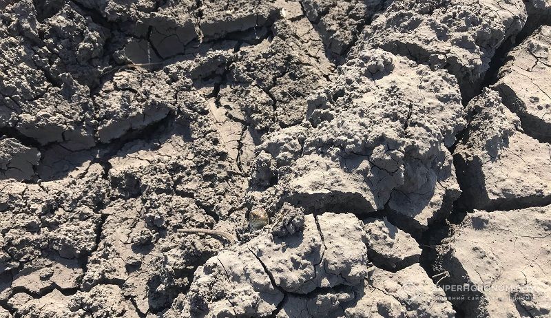 Агрохолдинги мігруватимуть на захід через зміни клімату — Адаменко