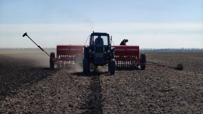 На Миколаївщині розпочали посівну ярих 2026 з гороху