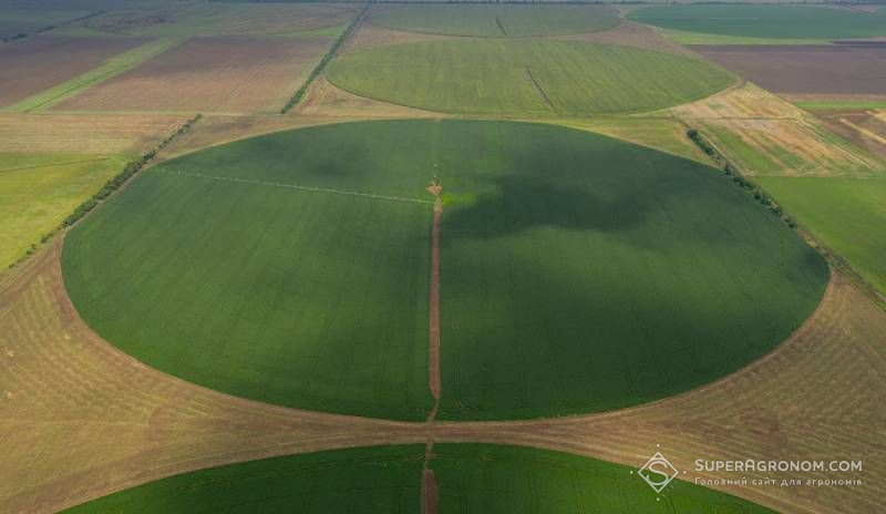 Яке зрошення оптимальніше для певного виробництва — дощування чи крапельне — пояснили фахівці