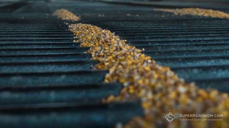 Скандал на зерновому ринку: трейдери заявляють про нестачу 100 тис. тонн зерна на елеваторі на Київщині