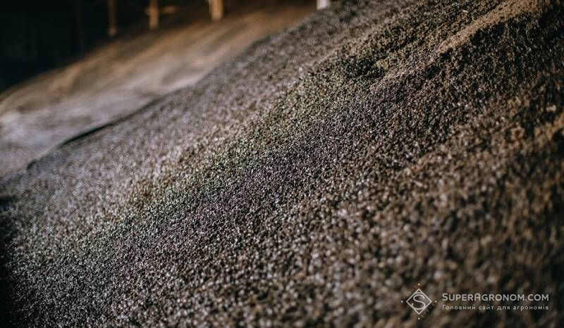 Соняшникове насіння