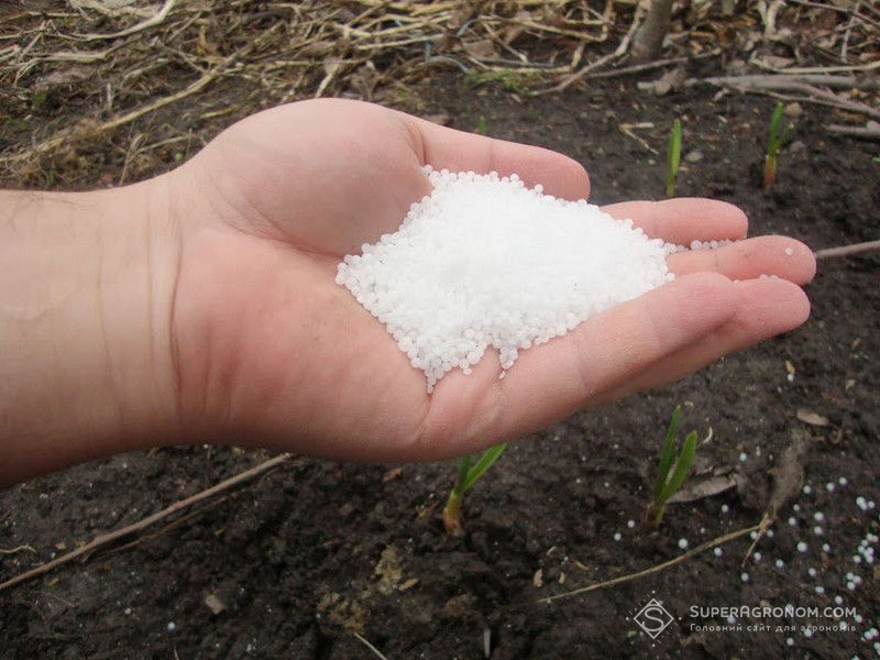 Азотне добриво Азотне добриво