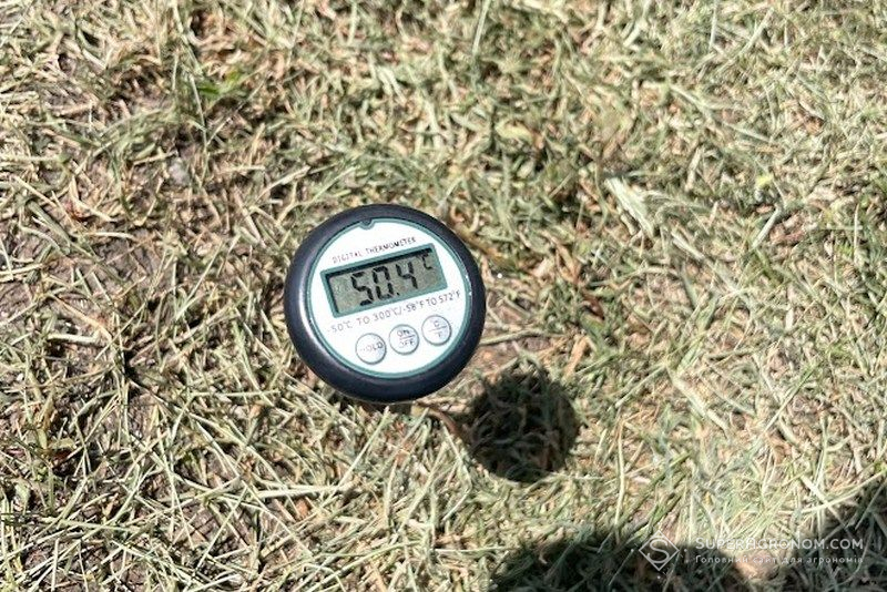 Температура ґрунту на Полтавщині, липень 2024 року Температура ґрунту на Полтавщині, липень 2024 року