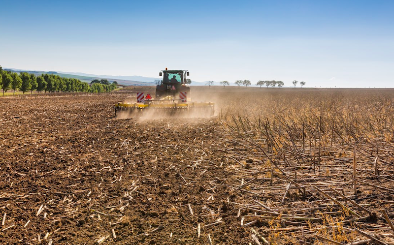 В господарстві на Сумщині зменшили кількість проходів техніки та покращили збереження вологи В господарстві на Сумщині зменшили кількість проходів техніки та покращили збереження вологи