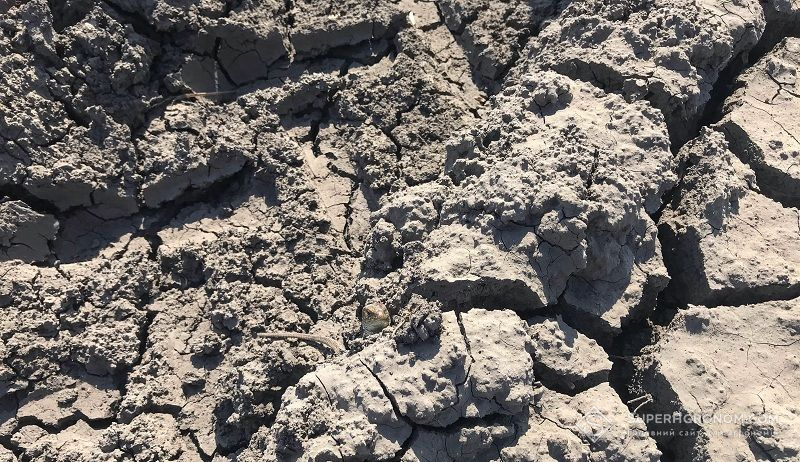 В Мінекономіки розповіли, як працюватиме механізм визначення зон ризикованого землеробства