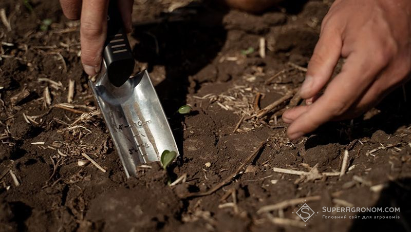 Господарство на Київщині шукає альтернативу селітрі і тестує РКД