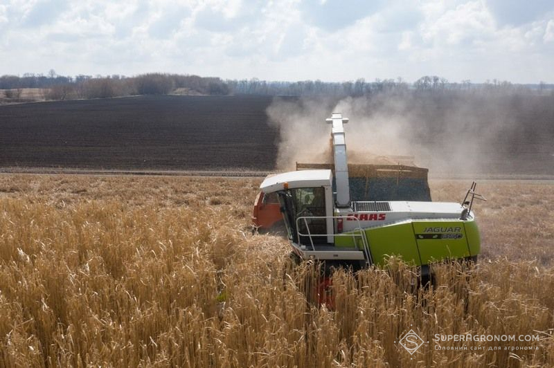 Збирання міскантуса Збирання міскантуса