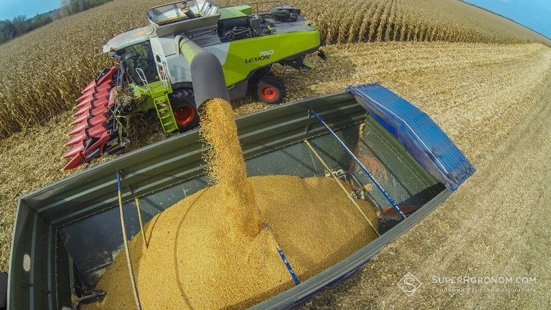 Прогноз світового виробництва кукурудзи у 2026 році підвищено на 3,5 млн т Прогноз світового виробництва кукурудзи у 2026 році підвищено на 3,5 млн т