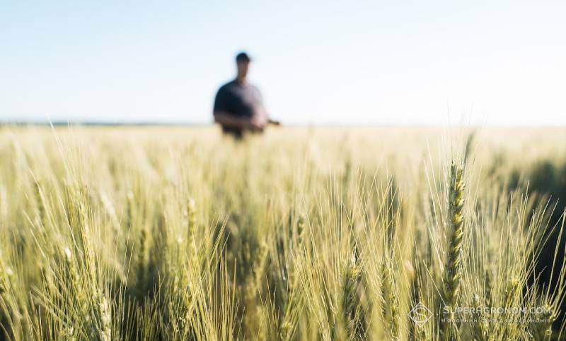 Сучасний агроном — це не лише про чисте поле, а й про управління ризиками та прибутком — Олександр Хмелюк