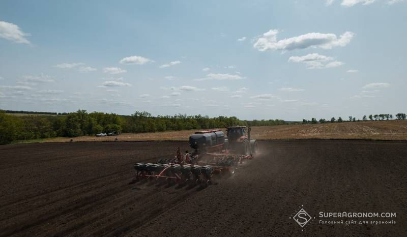 В Україні засіяли 52% площ соняшнику: за тиждень аграрії додали понад 1 млн га