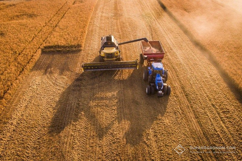 Збирання пшениці Збирання пшениці