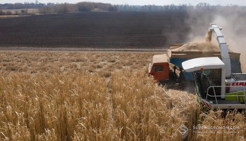 Збирання міскантусу Збирання міскантусу