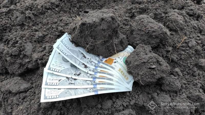 Середня ціна на землю в Україні за рік підвищилась на 26%