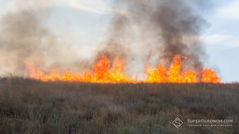 Масштаби вигорілих полів на Херсонщині видно навіть із супутника