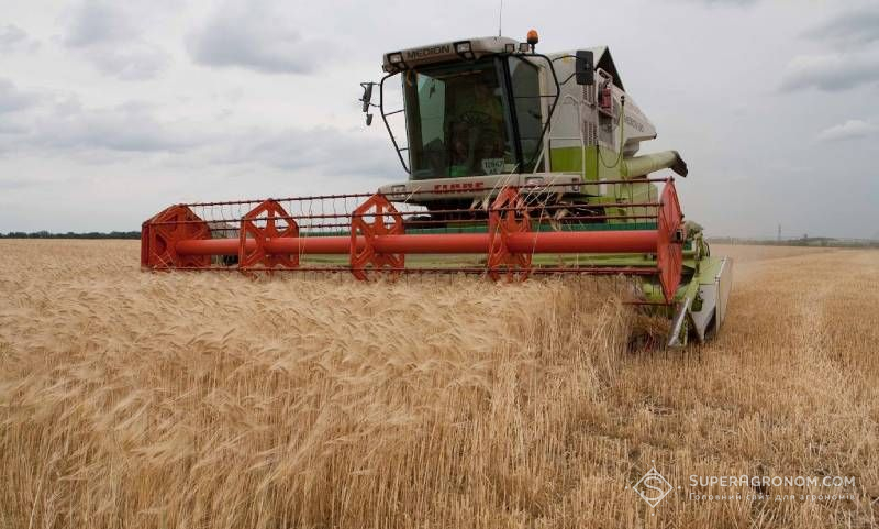 Жнива 2026 на Кіровоградщині: дощі уповільнили збирання, але врожайність вища, ніж торік