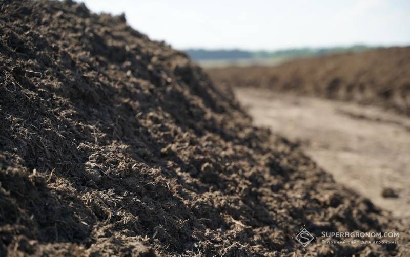 На Миколаївщині фермера судять за внесення на поля гною