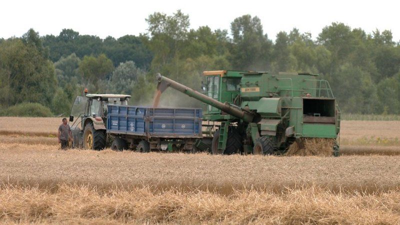 Збирання врожаю