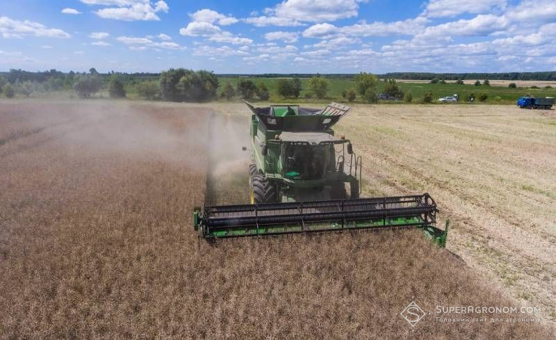 Ріпак в Україні вже зібрано майже на 540 тис. га: названо області-лідери за намолотом