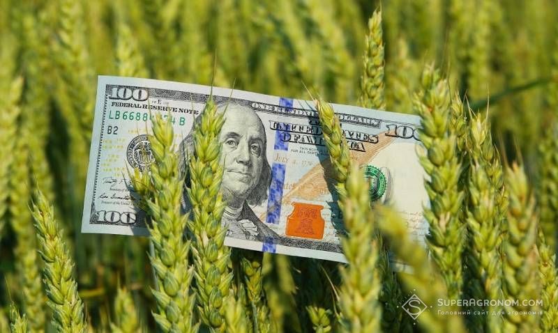 В якому стані посіви в регіонах, якого урожаю очікувати та які можливі логістичні ризики, розповіли аналітики В якому стані посіви в регіонах, якого урожаю очікувати та які можливі логістичні ризики, розповіли аналітики