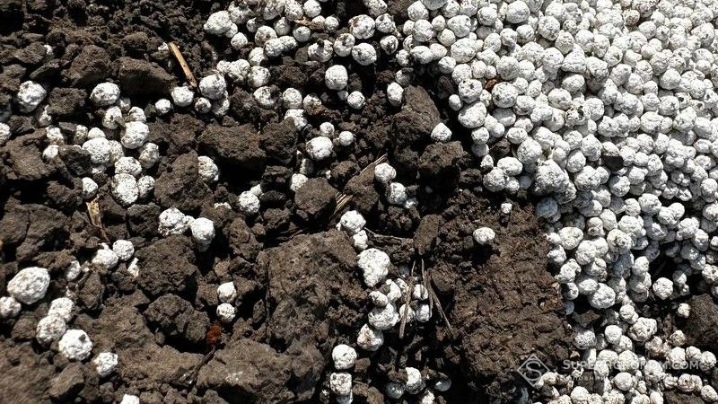 На українському ринку комплексних добрив зростають ціни