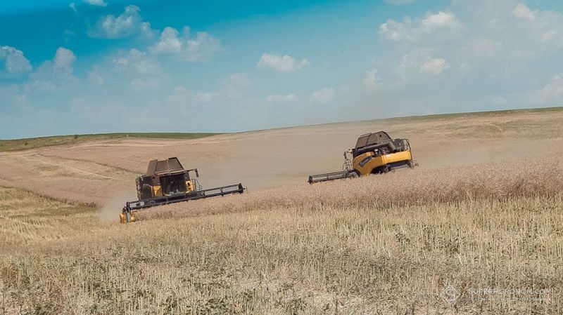 Збирання ріпаку Збирання ріпаку