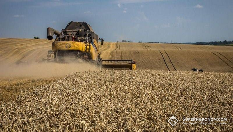 Середня врожайність пшениці на Львівщині 6,06 т/га — на 1,28 т/га нижча минулорічної Середня врожайність пшениці на Львівщині 6,06 т/га — на 1,28 т/га нижча минулорічної