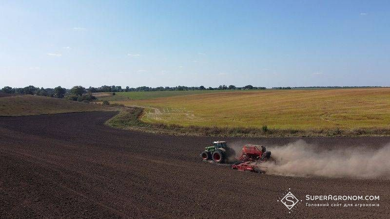 Фосфор і калій під озимі варто вносити глибше: польські фахівці пояснили чому