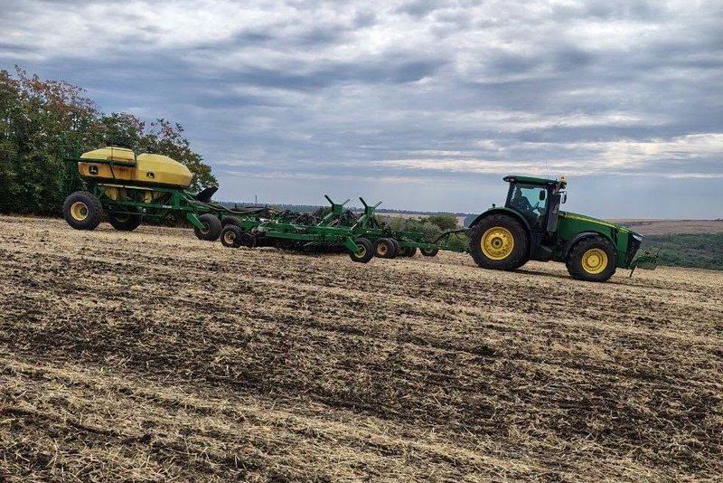 Сівба ріпаку озимого Сівба ріпаку озимого