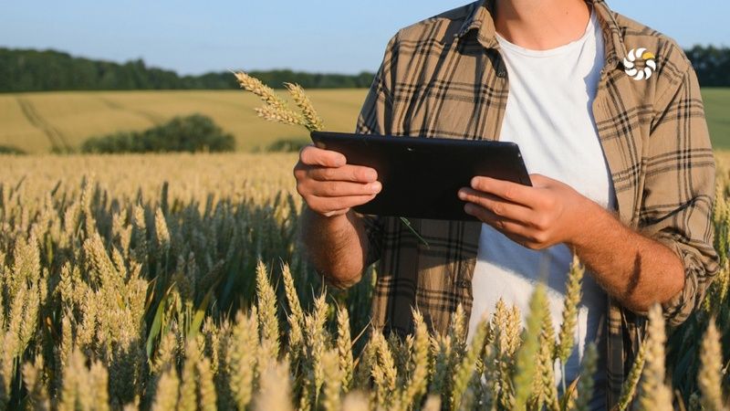 Аграрну ноту протестують в реальному фермерському господарстві