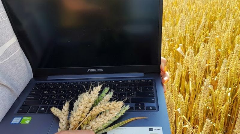 Платформа E-ZERNO запустила онлайн-укладання аграрних угод від ціни до платежу