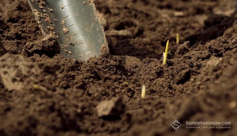 До 30-50 кг азоту та додаткова мобілізація фосфору: фахівці назвали економічний потенціал біопрепаратів До 30-50 кг азоту та додаткова мобілізація фосфору: фахівці назвали економічний потенціал біопрепаратів