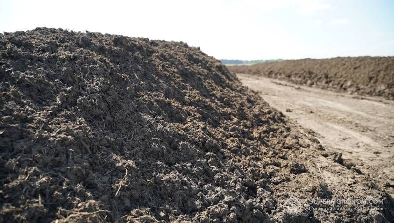 Азот в органічних добривах: як визначити норму внесення гною пояснили фахівці Азот в органічних добривах: як визначити норму внесення гною пояснили фахівці