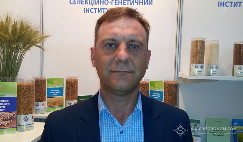 Євген Алєксєєнко, провідний науковий співробітник відділу селекції та насінництва пшениці Селекційно-генетичного інституту