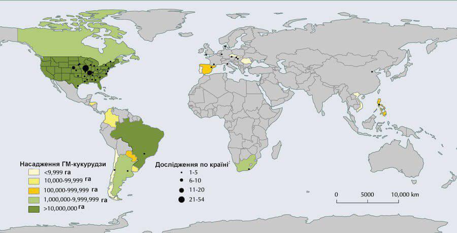Світове розміщення полів кукурудзи, залучених для мета-аналізу. Території, засаджені ГМ-кукурудзою у 2016 році.