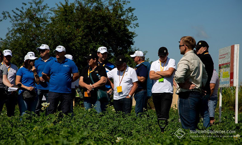 Ірина Кудибіна розповідає учасникам Дня поля про продукти BASF для картоплі