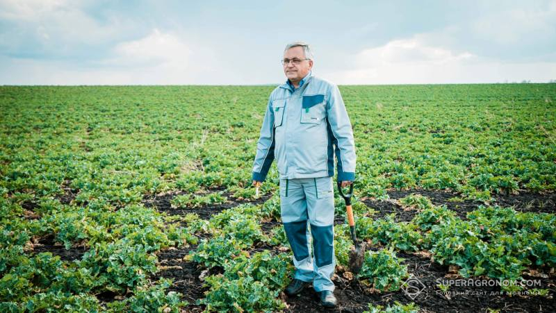 Михайло Мартиненко оглядає посіви ріпаку
