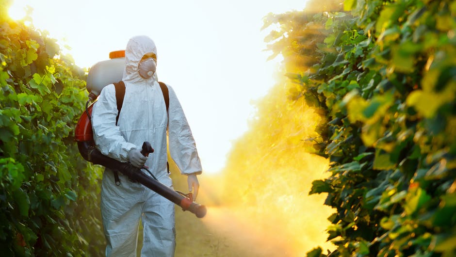 Обприскування пестицидами
