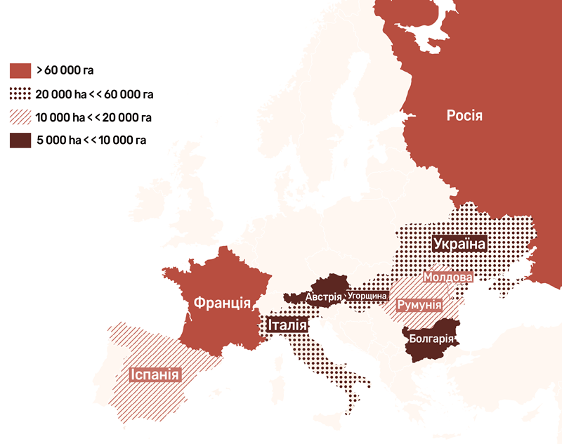 Площі посіву зернового сорго у Європі