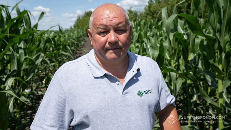 Володимир Скорик, провідний агроном компанії ВНІС, кандидат сільськогосподарських наук