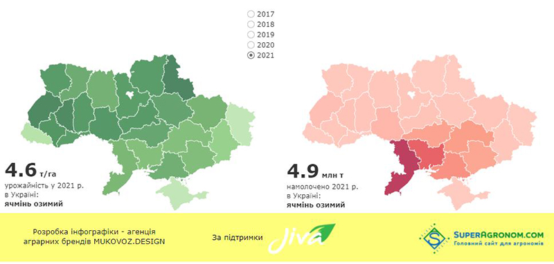 Урожайність та обсяги збирання озимого ячменю в Україні у 2021 р.
