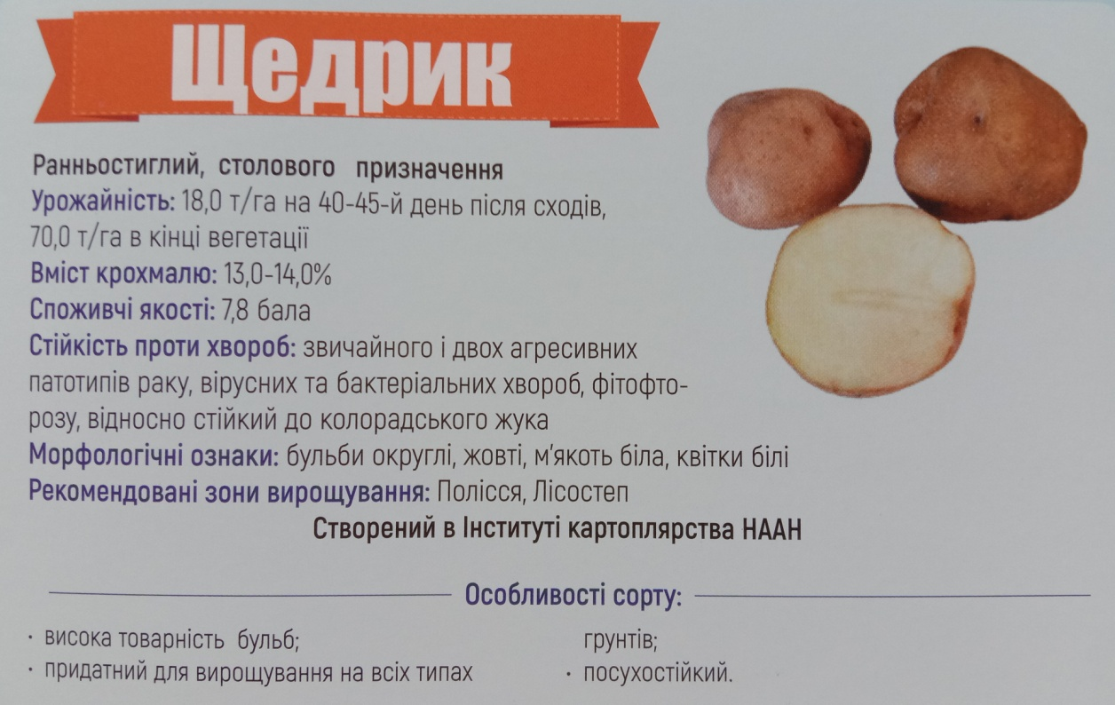 Інформація про сорт картоплі «Щедрик», видання Інституту картоплярства НААН