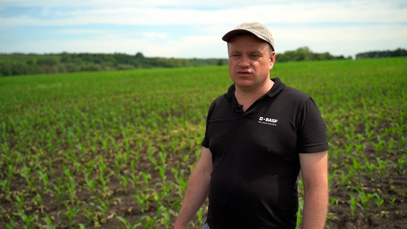 Євген Качура, менеджер з маркетингу напряму кукурудзи, бобових та цукрового буряку відділу маркетингу департаменту Agricultural Solutions компанії BASF