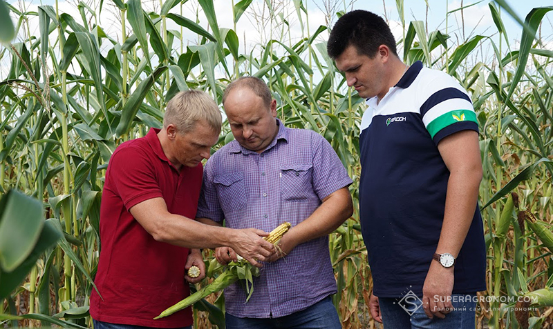 Головний агроном господарства та представники компанії «Ерідон» обстежують посіви кукурудзи