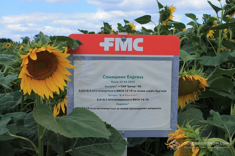 Схема захисту соняшнику від компанії FMC