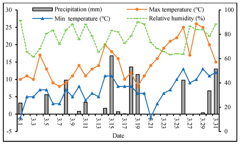Погодні умови протягом березня в період диференціації пиляків