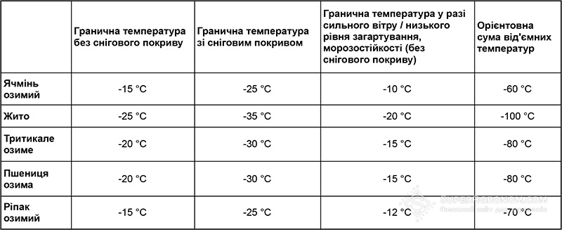 Таблиця. Орієнтовні граничні температури для озимих зернових культур. Джерело: Gieldarolna.pl